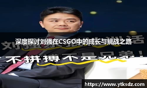 深度探讨刘强在CSGO中的成长与挑战之路